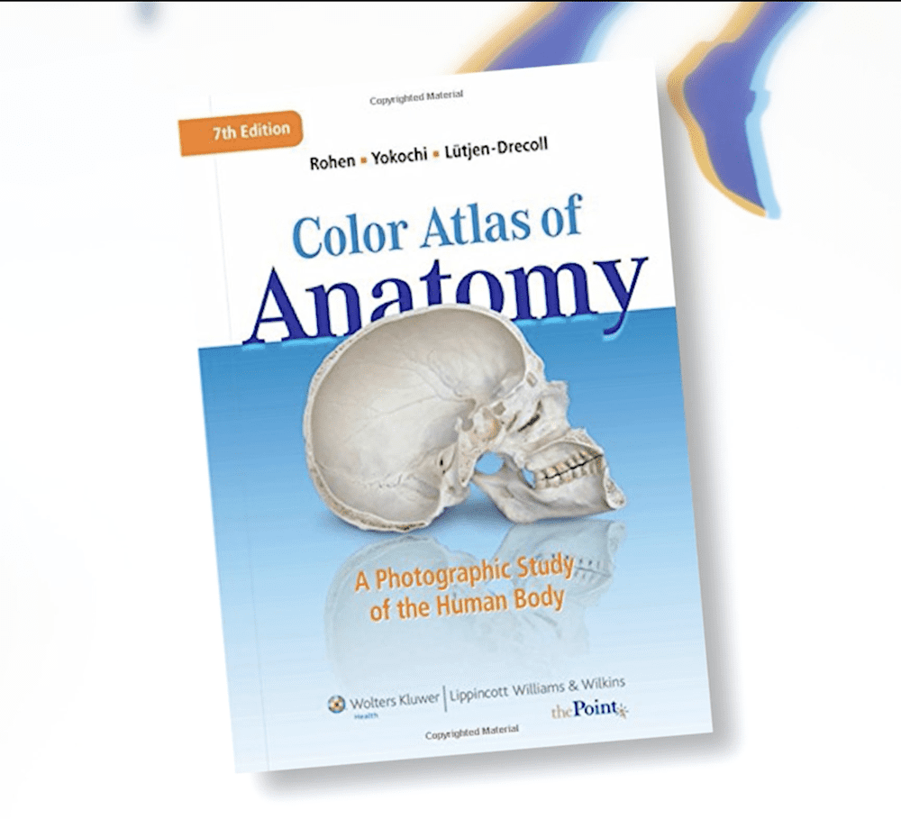 Colour Atlas Of Anatomy - Best Physical Therapy Books