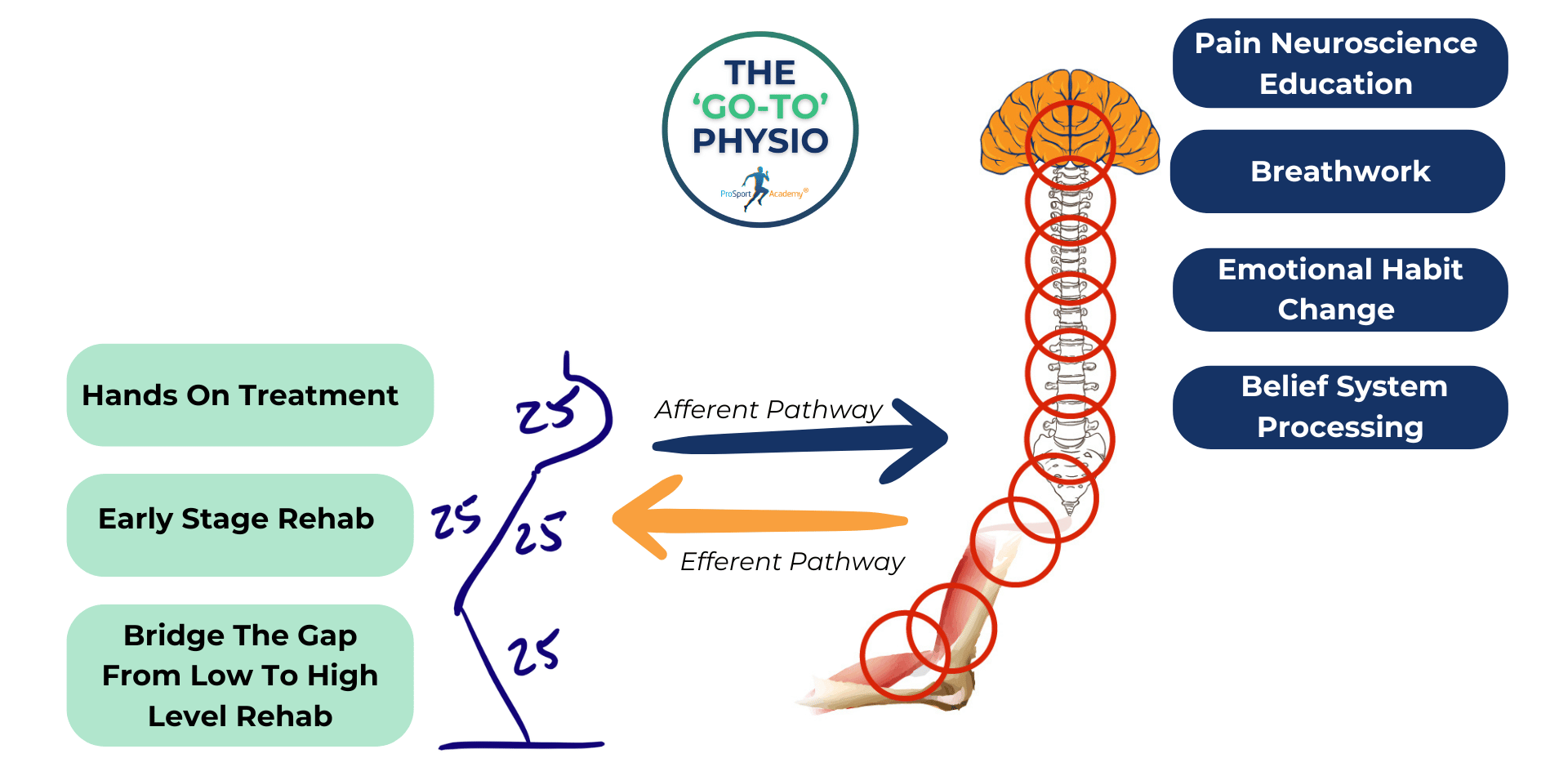 The Knowledge Trap Most Therapists Fall Into
by The Go To Physio, Dave O’Sullivan