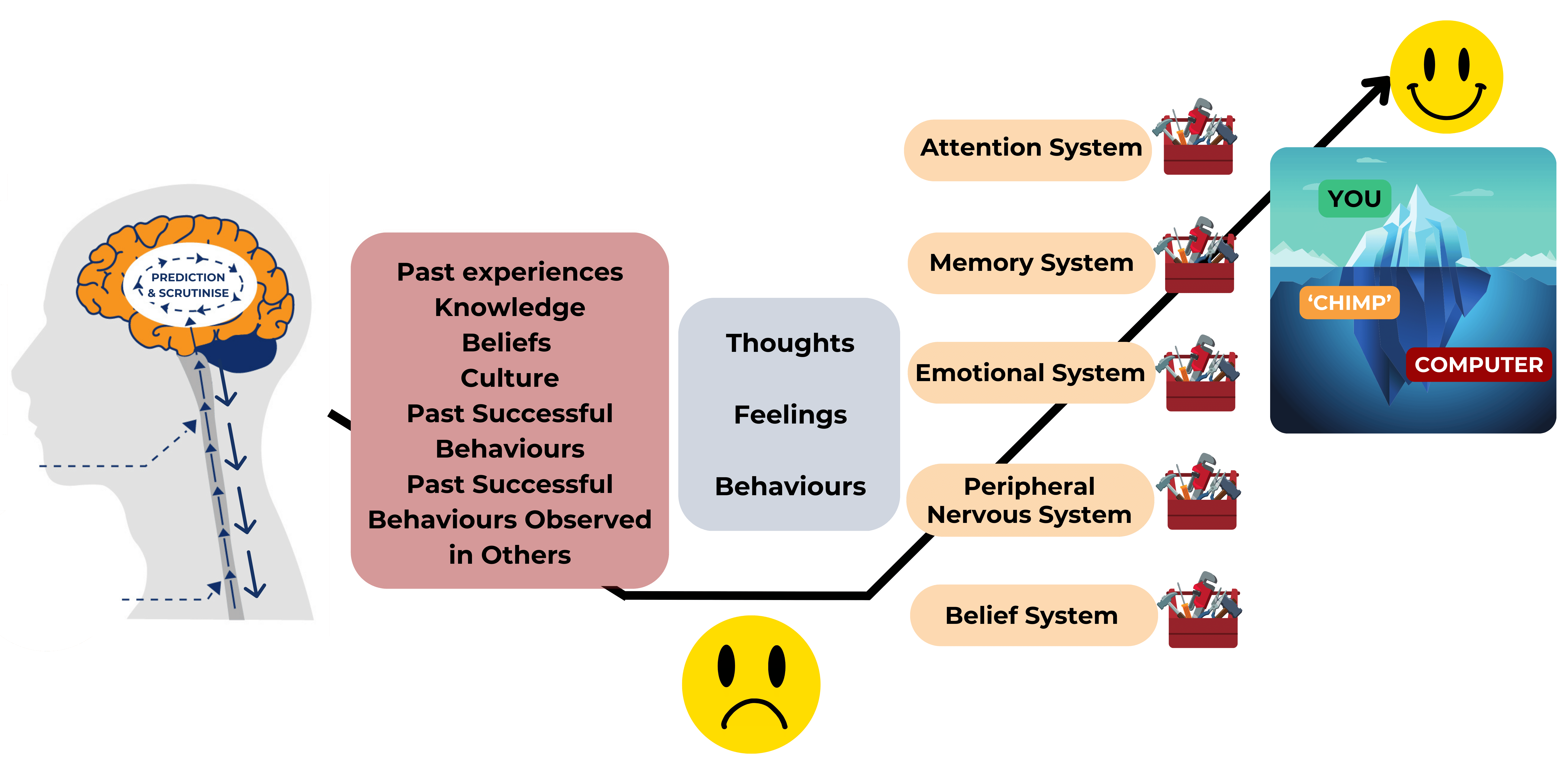 Patient progress graphic showing that pain is complex and multifactorial