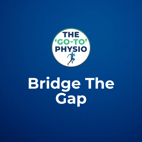 Bridge The Gap